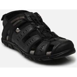 U S.STRADA D U8224D par Geox Noir 44 Homme