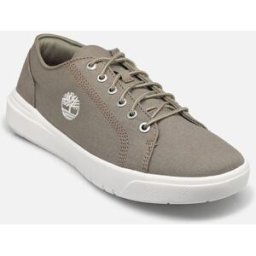Seneca Bay Oxford par Timberland Beige 41 Homme