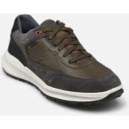U PG1X B ABX par Geox Vert 40 Homme