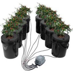 VEVOR Système de Culture Hydroponique DWC Eau Profonde 8 Seaux avec Pompe à Air