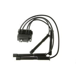 Bobine d'allumage NGK 48007