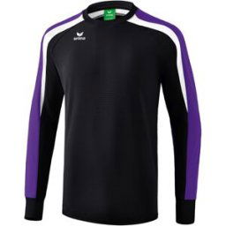 Sweatshirt Erima Liga 2.0 Bleu S Homme