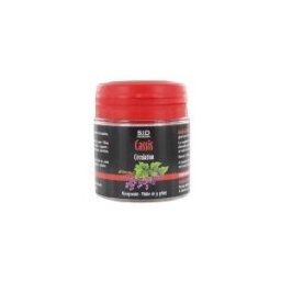 S.i.d Nutrition Cassis 30 Gélules - Pilulier 30 Gélules