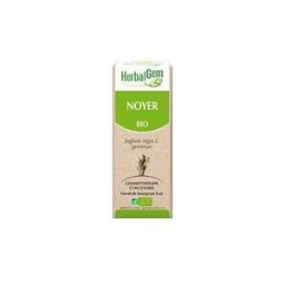 Herbalgem Macérat Concentré de Noyer Bio 30ml