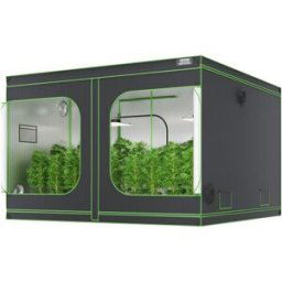 VEVOR Tente de Culture 305x305x203 cm Chambre de Culture Hydroponique Mylar 600D Hautement Réfléchissante avec Fenêtre d'Observation, Sac à Outils, Plateau de Sol pour Culture de Plantes d'Intérieur