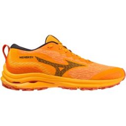 Chaussures de running Mizuno Wave Rider GTX Noir 44,5 Homme