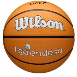 WILSON ACB Outdoor Basketball