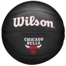 WILSON NBA Team Tribute Mini Basketball