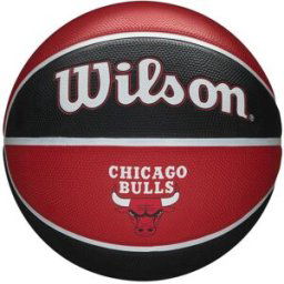 WILSON NBA Team Tribute Basketball RED