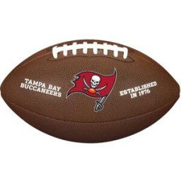 WILSON Ballon de football américain NFL Backyard Legend BROWN