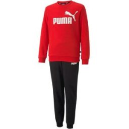 Ensembles de survêtement Puma No.1 Logo Sweat Suit Multicolore