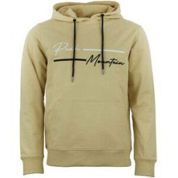 Sweat-shirt Peak Mountain Sweat à capuche homme CODEK Beige