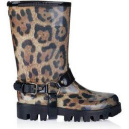 Bottes D&G; Botte Marron
