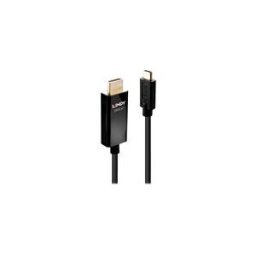 Lindy cable adaptateur - HDMI / USB - 2 m