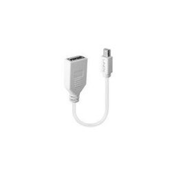 Lindy - Adaptateur DisplayPort - Mini DisplayPort pour DisplayPort - 15 cm