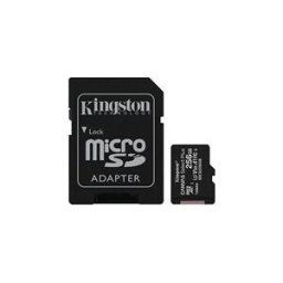 Kingston Canvas Select Plus - carte memoire flash - 256 Go - microSDXC UHS-I