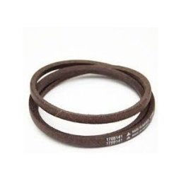 Courroie d'avancement tracteur tondeuse AYP, Craftsman, Bestgreen, Husqvarna 401603, 532401603 6941587692018
