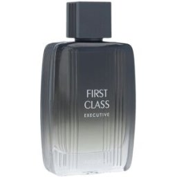 Aigner First Class Executive Eau de Toilette (Homme) 100 ml