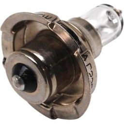 1Tek Origine Ampoule halogène 12v 15w p26s
