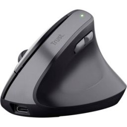 Trust Bayo II Souris ergonomique sans fil optique noir 6 Boutons 800 dpi, 1200 dpi, 1600 dpi, 2400 dpi ergonomique, Touches à frappe silencieuse, molette