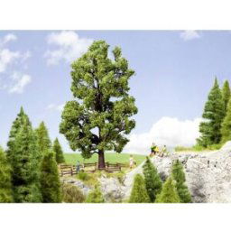 Arbre marronnier NOCH 0021802 185 mm 1 pc(s)