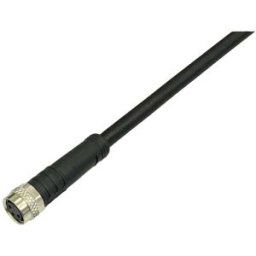 BKL Electronic 2700003 Câble de raccordement M8 femelle, droit 2 m Nombre de pôles: 4 1 pc(s)