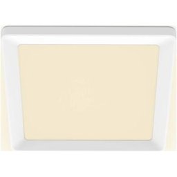 Philips SceneSwitch 8720169347892 Panneau à LED 12 W blanc chaud blanc