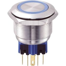 Bouton-poussoir antivandalisme TRU COMPONENTS GQ25-11E/B/12V 701790 250 V/AC 5 A 1 x On/(On) IP65 à rappel 1 pc(s)