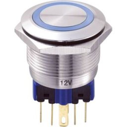 Bouton-poussoir antivandalisme TRU COMPONENTS GQ22-11E/B/12V 701965 250 V/AC 5 A 1 x On/(On) IP65 à rappel 1 pc(s)