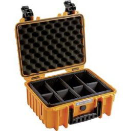 B&W Mallette pour appareil photo B & W International outdoor.cases Typ 3000 3000/O/RPD étanche 1 pc(s)