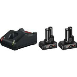 Bosch Professional GAL 12V-40 +2x GBA 6.0Ah 1600A01B20 Batterie pour outil et chargeur 12 V 6 Ah Li-Ion