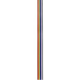 TRU COMPONENTS TC-7638576 Câble de données 10 x 1.27 mm multicolore 30 m