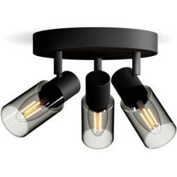 Philips Palms 8720169299351 Spot de plafond E14 noir
