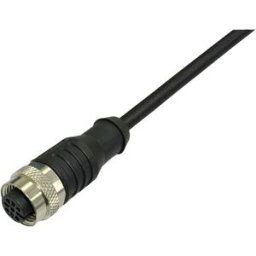 BKL Electronic 2702006 Câble de raccordement M12 femelle, droit 2 m Nombre de pôles: 4.5 1 pc(s)