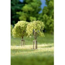 Auhagen 70950 Assortiment darbres forêt de feuillus 23 à 42 mm 10 pc(s)