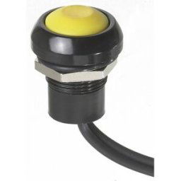 APEM ICR3SAD7/1 ICR3SAD7/1 Bouton-poussoir 28 V/DC 5 A 1 x Off/(On) à rappel IP67 1 pc(s)