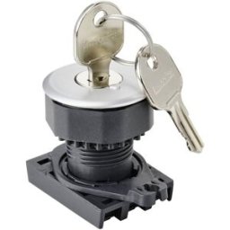 TRU COMPONENTS TC-10343992 S3KF-2DS Elément frontal pour commutateur à clé clé argent 1 x 90 ° 1 pc(s)