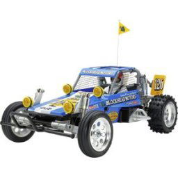 Tamiya RC Wild One OR Blockhead Motor brushed 1:10 Véhicule RC débutant électrique Buggy propulsion arrière kit à monter pré-peint