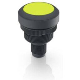 RAFI 1.10.011.001/0441 RAMO 22 T Bouton-poussoir 35 V/DC 0.1 A à rappel (L x l x H) 40 x 29.8 x 29.8 mm 1 pc(s)