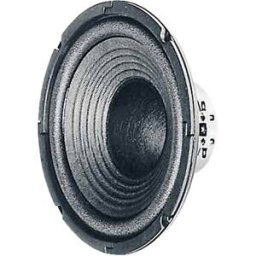 Boomer Visaton W 200