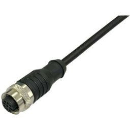 BKL Electronic 2702003 Câble de raccordement M12 femelle, droit 2 m Nombre de pôles: 4 1 pc(s)