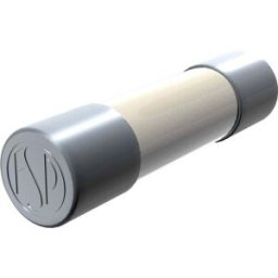 Micro-fusible Püschel Feinsicherungen FSUT1,6A (Ø x L) 6.3 mm x 32 mm 1.6 A 500 V temporisé -T- 10 pc(s)