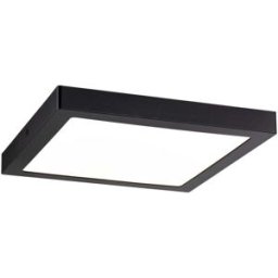 Paulmann Abia 70985 Panneau à LED 22 W blanc chaud noir (mat)