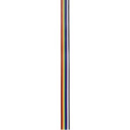 TRU COMPONENTS TC-7638580 Câble de données Pas: 1.27 mm 20 x 0.08 mm² multicolore 30 m