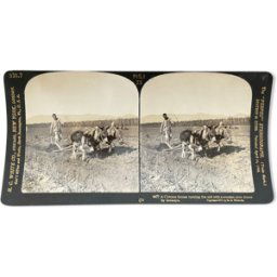 ART Photographie ancienne stereo, stereograph, luxe albumine 1903 fermier chinois noir 18x0x9