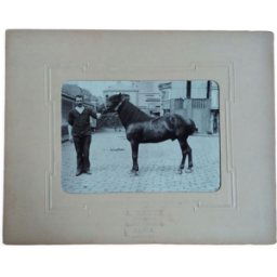 ART Photographie 1900 homme et cheval A. Rebut rue Turgot à Paris noir 27x0x21