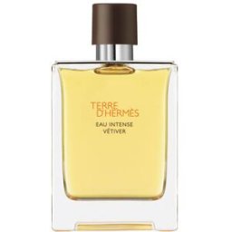 Terre d'Hermès Eau Intense Vétiver - Eau de Parfum-100ml HERMÈS