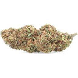 Kush Mints H4CBD 30% - Fleur de H4CBD - Easy Weed