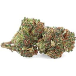Candyland THCP - Fleurs de THCP - Easy Weed