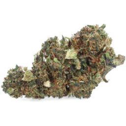 Cinderella THCV - Fleurs de THCV - Easy Weed